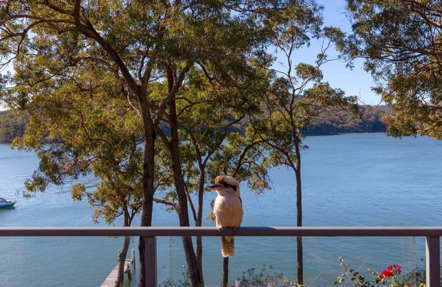 Wybalena - set on a deep-water frontage in North Arm Cove