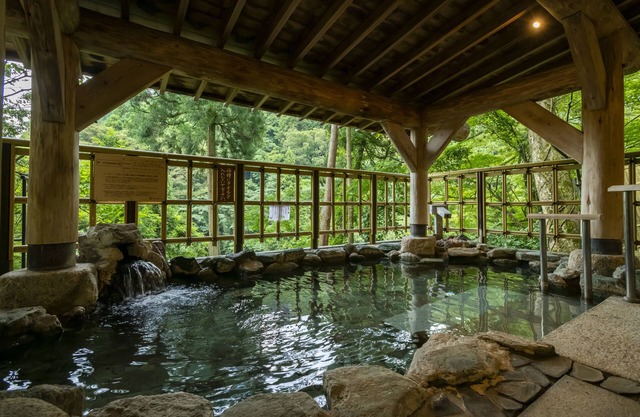 Yamanaka Spa Hanatsubaki