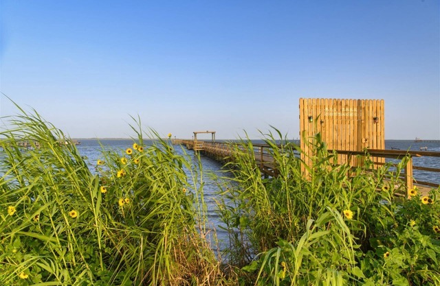 Yellow Warbler B | Access to Fishing Pier!
