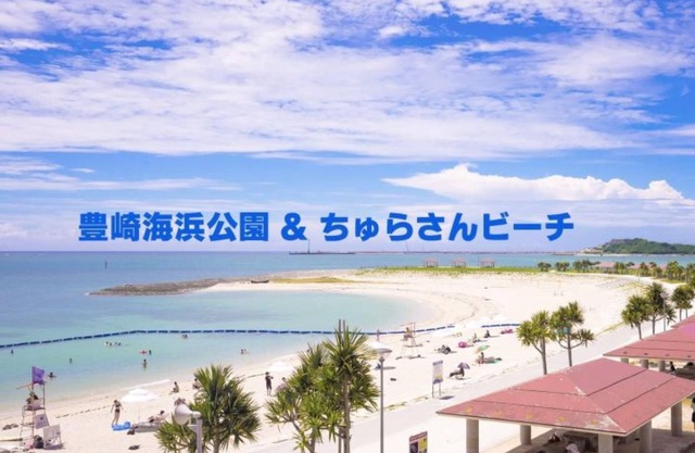YN11 Aquarium within walking distance of the be - 101/Tomigusuku Okinawa