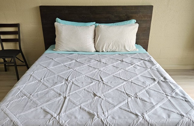 Yonegan Plumeria Hilo Hotel - Ilio Kai (Monk Seal)