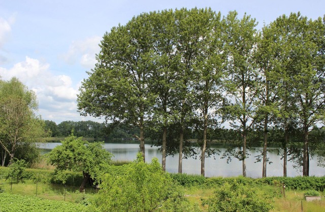 Your apartment directly on the Gantikow lake