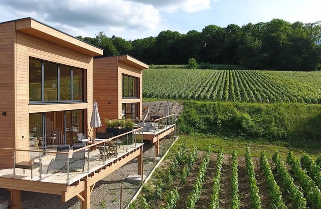 Your stay in a Champagne wine village