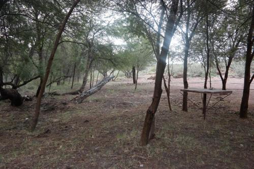 Zaris Ranch
