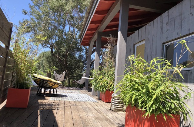 Zen cabin in the bush
