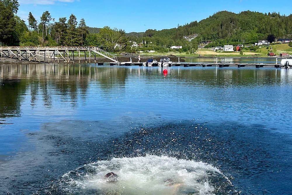 Leksvik House | 6 person holiday home in Åsenfjord