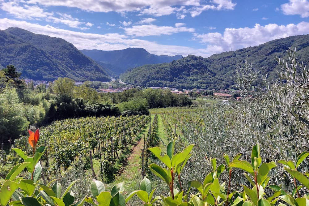 Bagni di Lucca Other | Farm Tenuta la Fratta