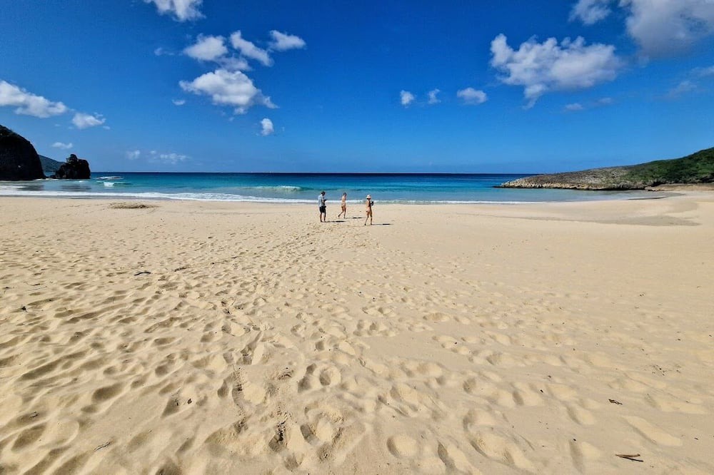 Wesley Will House | Spectacular clifftop house with hot tub next to sandy beach, stunning sea views