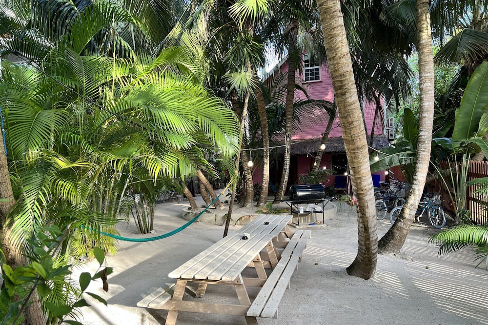 Caye Caulker Apartment | Oceanview/pool/Dock/AC-Barbaras Beach House-3 bed/2 bath sleeps 7