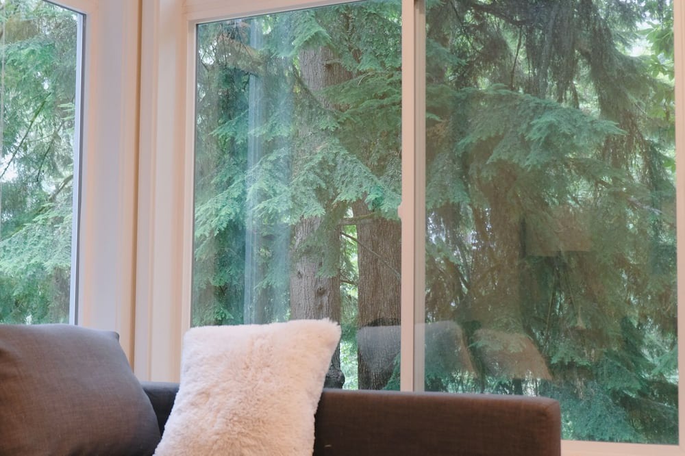 Mercer Island Apartment | Entire 1b1b Mercer Island apartment