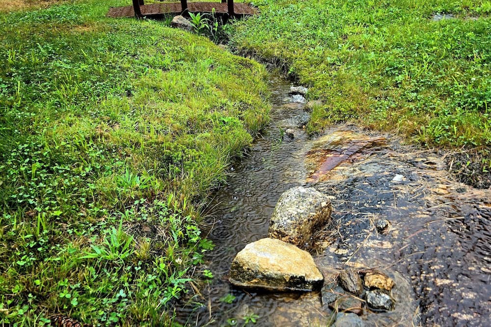 Washington RV Rental | Peaceful campsite with WiFi in Washington