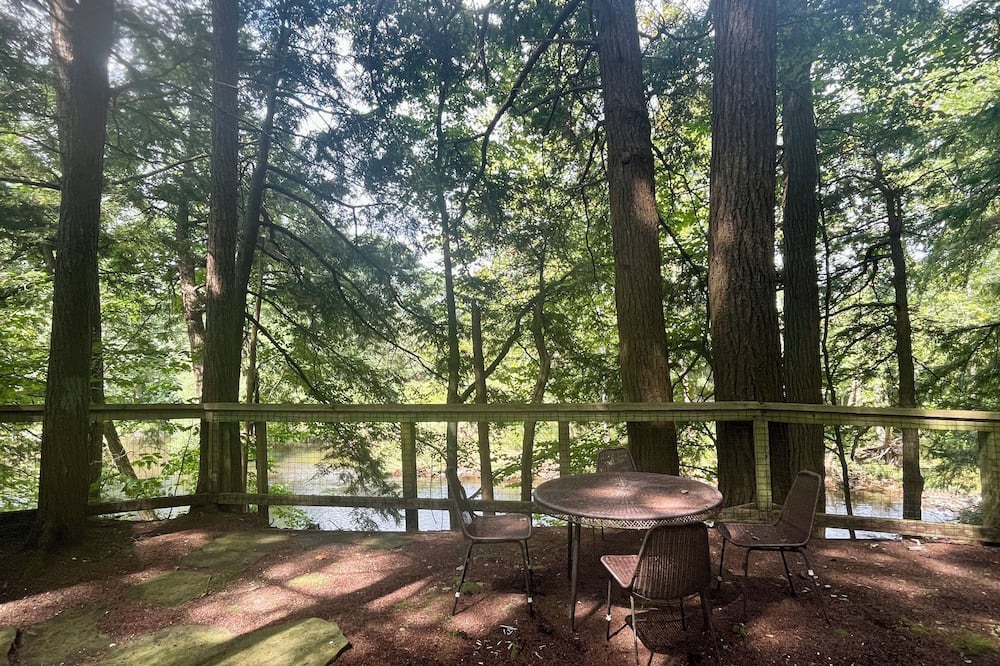 Greene Cottage | Rustic cottage surrounded by trees, overlooking a creek.