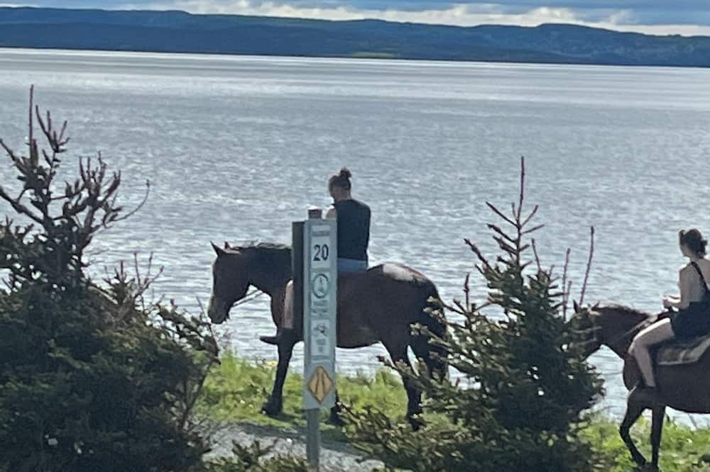 Conception Bay South House | Air b, Vb Canada , Newfoundland , ocean , island ,boats ,beach , whales.