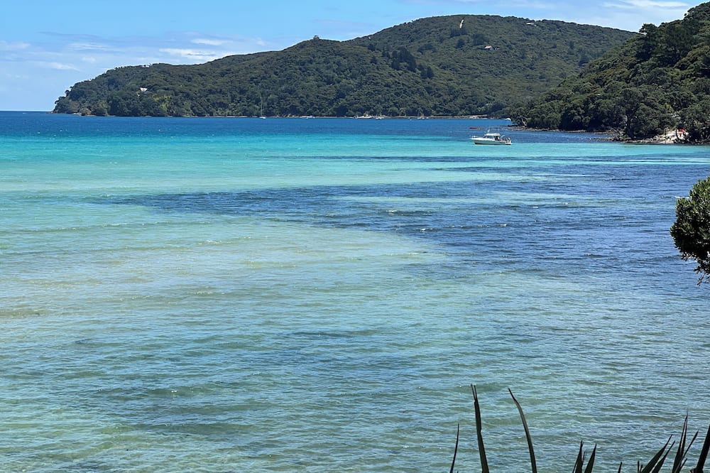 Tryphena House | Cloud 9 A Family Friendly Accommodation