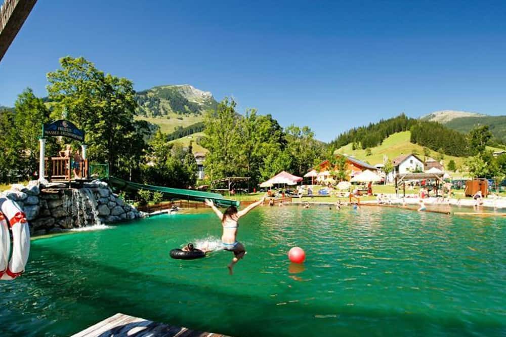 Russbach am Pass Gschuett Apartment | 8 Family Suite - Dachsteinresort