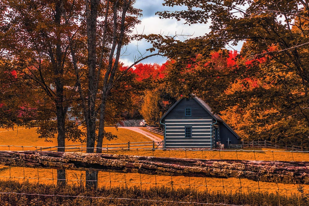 Little Levels House | Hill House #trails hiking skiing- beautiful farm views- privacy-relaxing