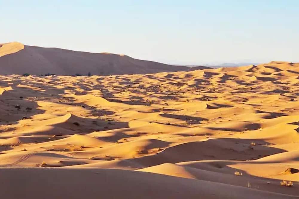 Hassilabied RV Rental | Primitive tent in the desert