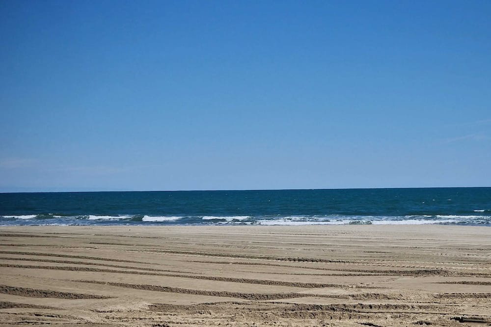 La Jetee Apartment | Homerez - Studio in Canet-Roussillon