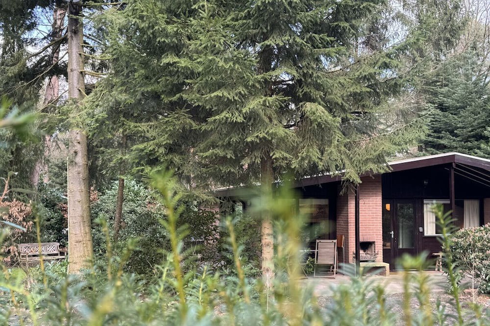 Giethmen House | Boshuisje met Open Haard