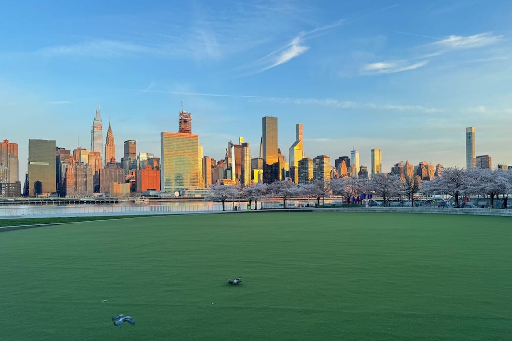 Hunters Point Apartment | Great one bedroom studio in a great neighborhood.