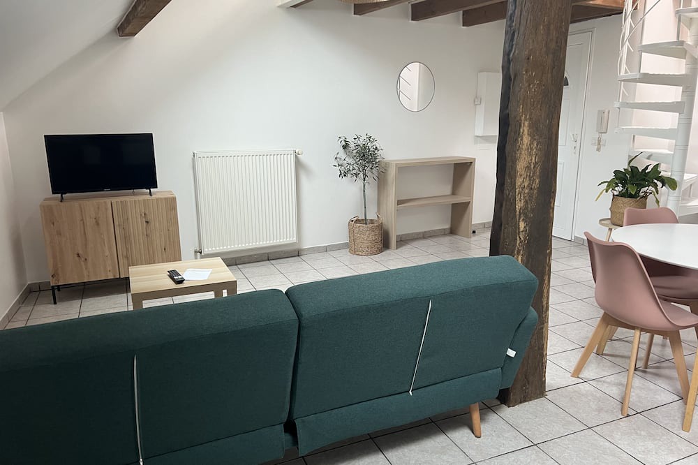 Sarrebourg Apartment | Appartement Cosy au Centre de Sarrebourg