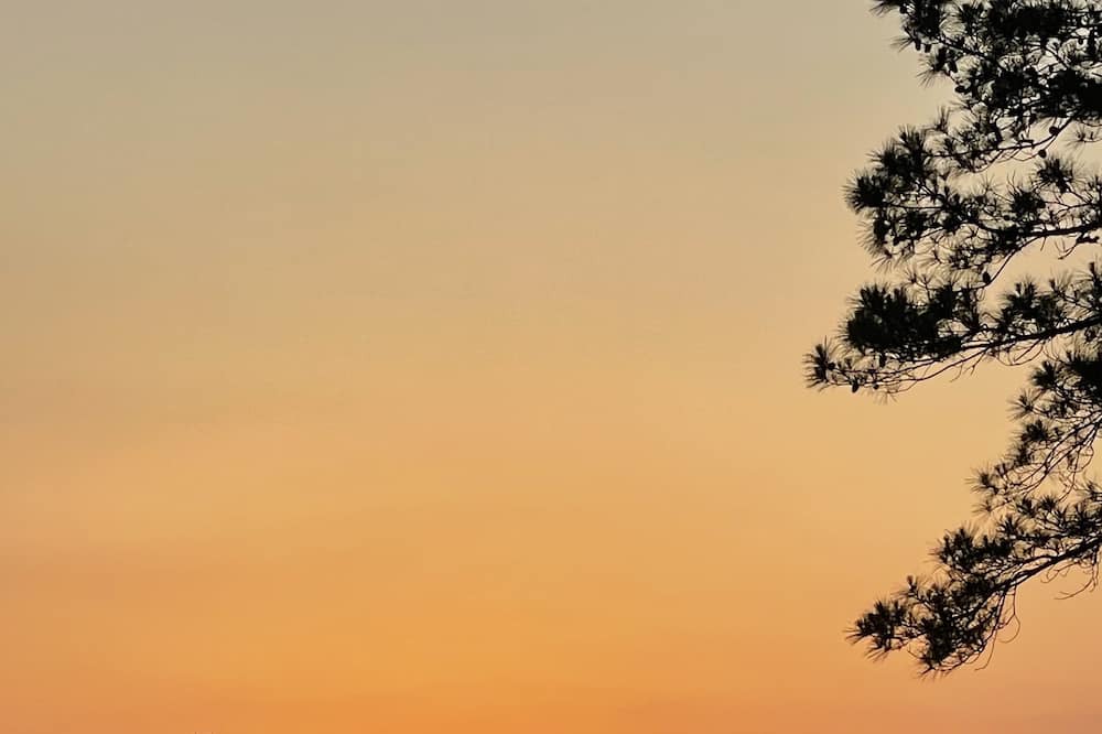 Anacoco House | Family Oasis at Toledo Bend