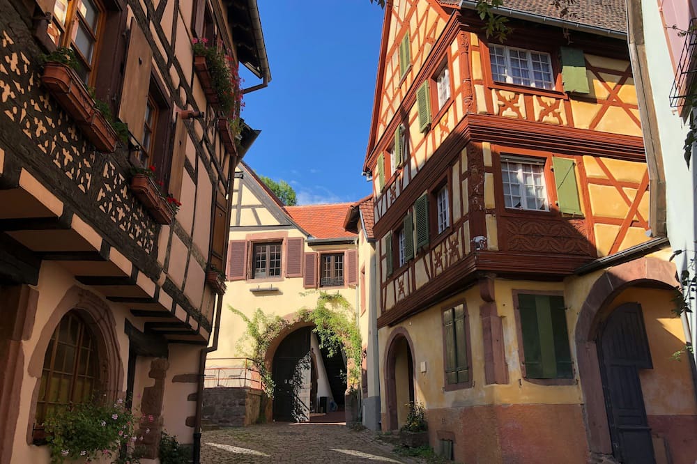 Kaysersberg-Vignoble Apartment | Renovated luxury apartment, in the middle of the Alsace wine route
