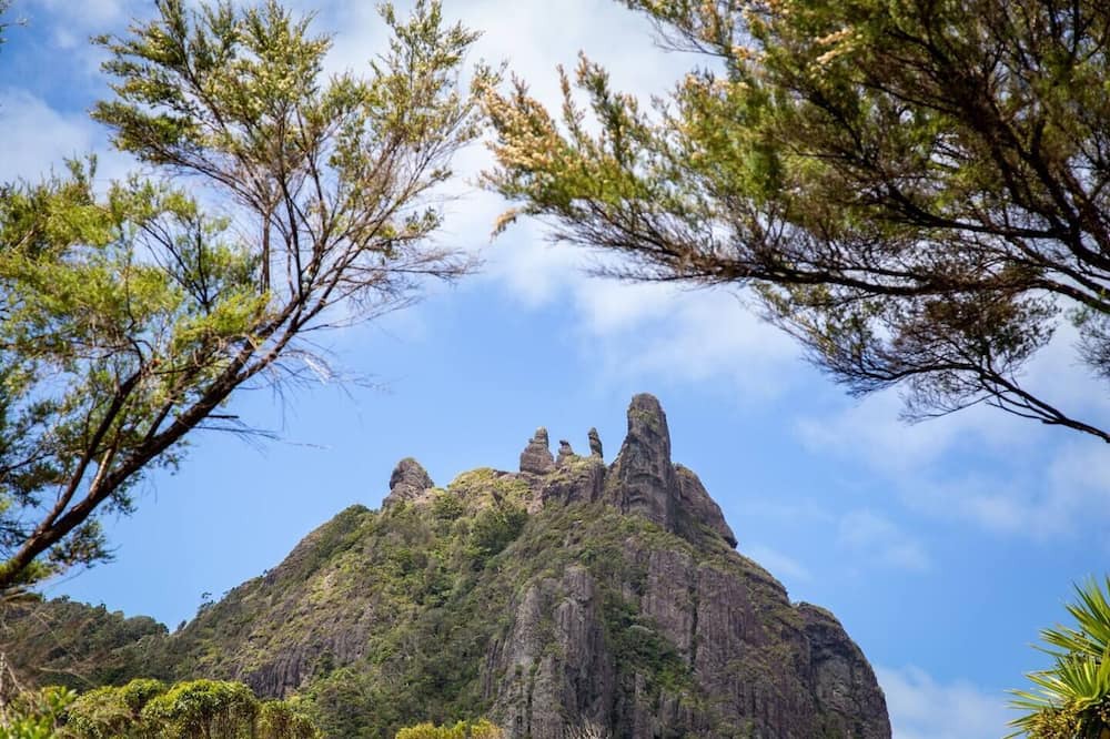 Whangarei Heads House | The A Frame at Bay View