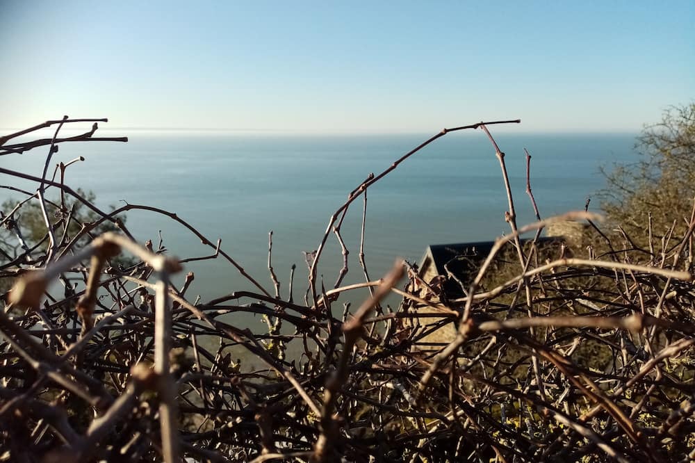 Champeaux Bed & Breakfast | La Campagne au Bord de la Mer. Une Chambre Chez L'habitant et ses Animaux