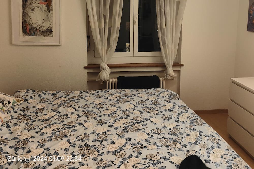 Wollishofen Apartment | Zurich 2 bedroom with balcony