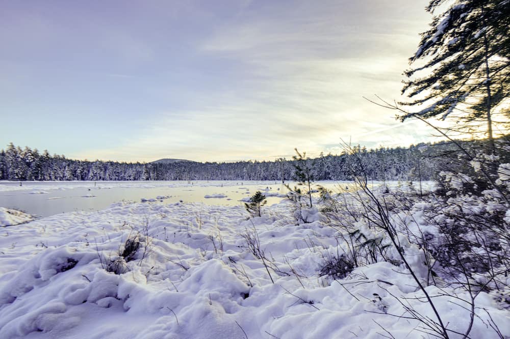 Conway Condo | Cozy Conway Retreat Near Skiing + Hiking Trails!