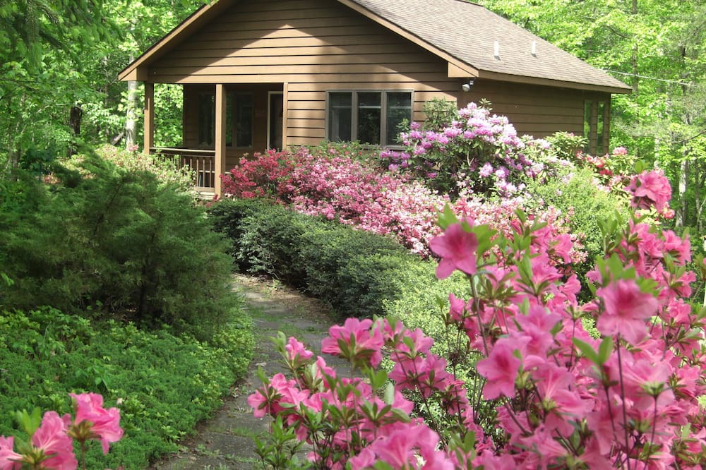 Dyke Cabin | Creek House