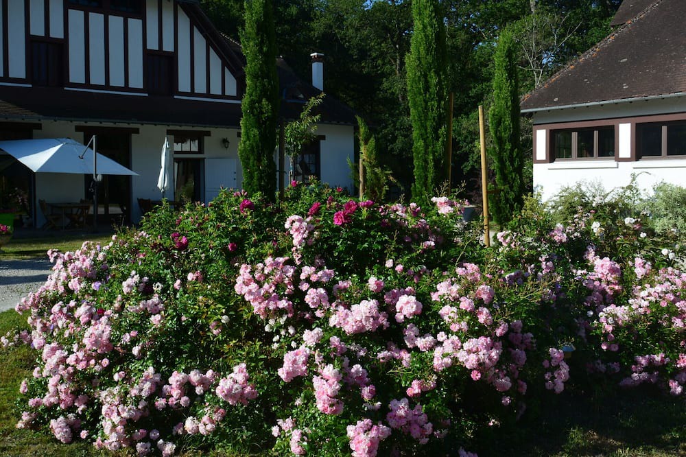 Ligny-le-Ribault Bed & Breakfast | Guestroom Ligny-le-Ribault, studio flat, 2 persons