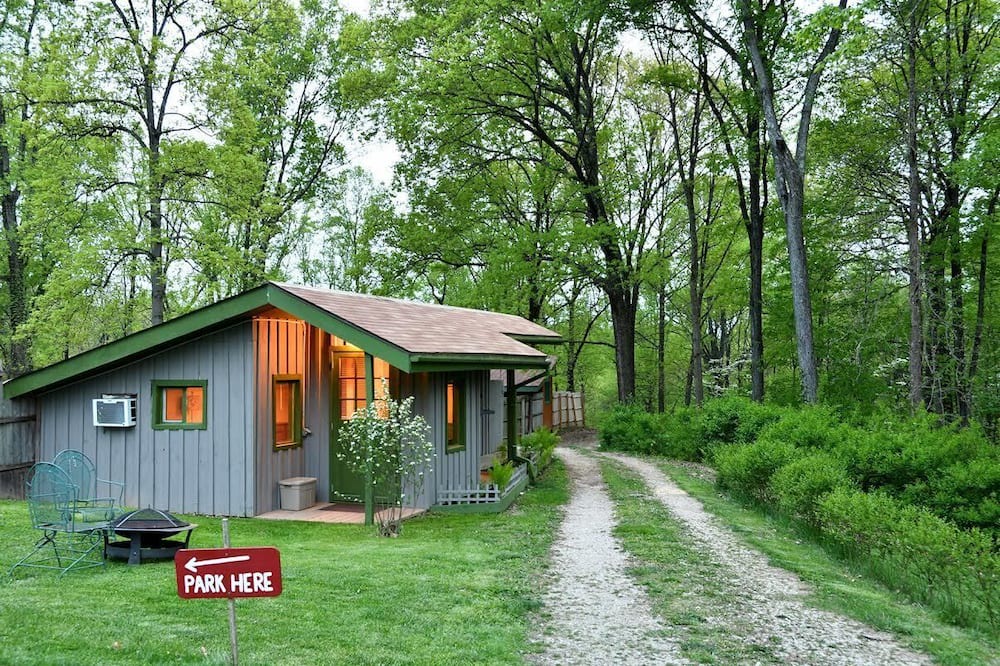 Millfield Apartment | Quiet, Gracious, Country Studio on 7acres of old growth forest