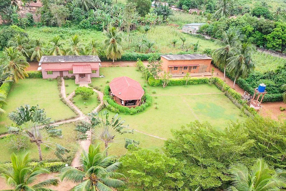 Ouidah Cottage | Cottage Cosy en Pleine Nature au Coconut Yard. Dépaysement et Calme!