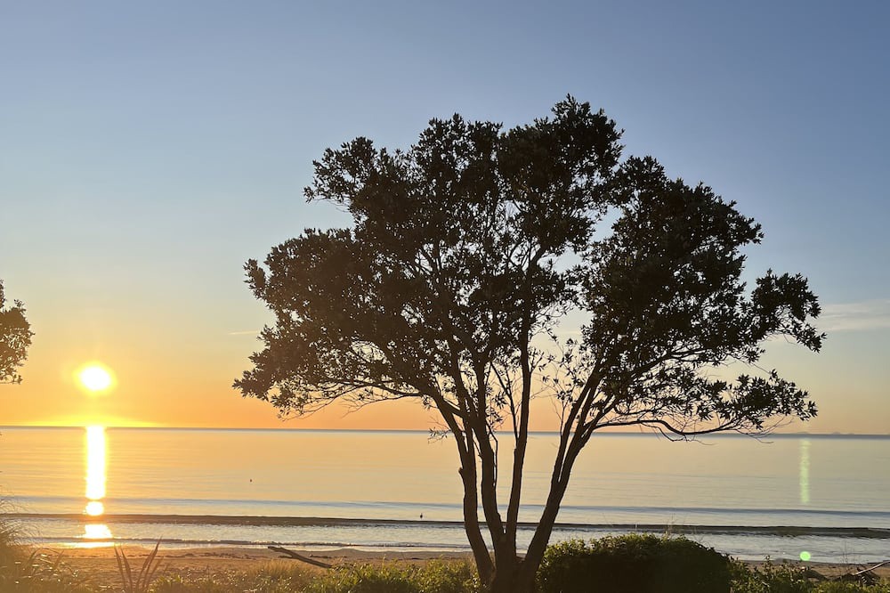 Parapara Cottage | Beachfront Bliss - romantic & cosy on the beach