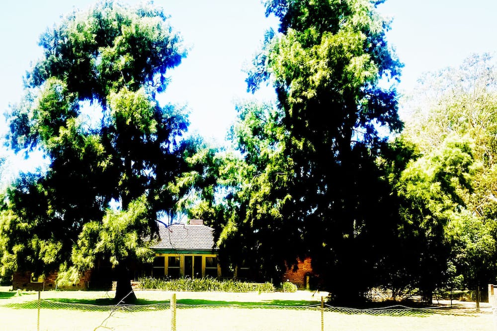 Tocumwal Other | Idyllic, farming property, hidden amongst towering gumtrees and golden pastures.