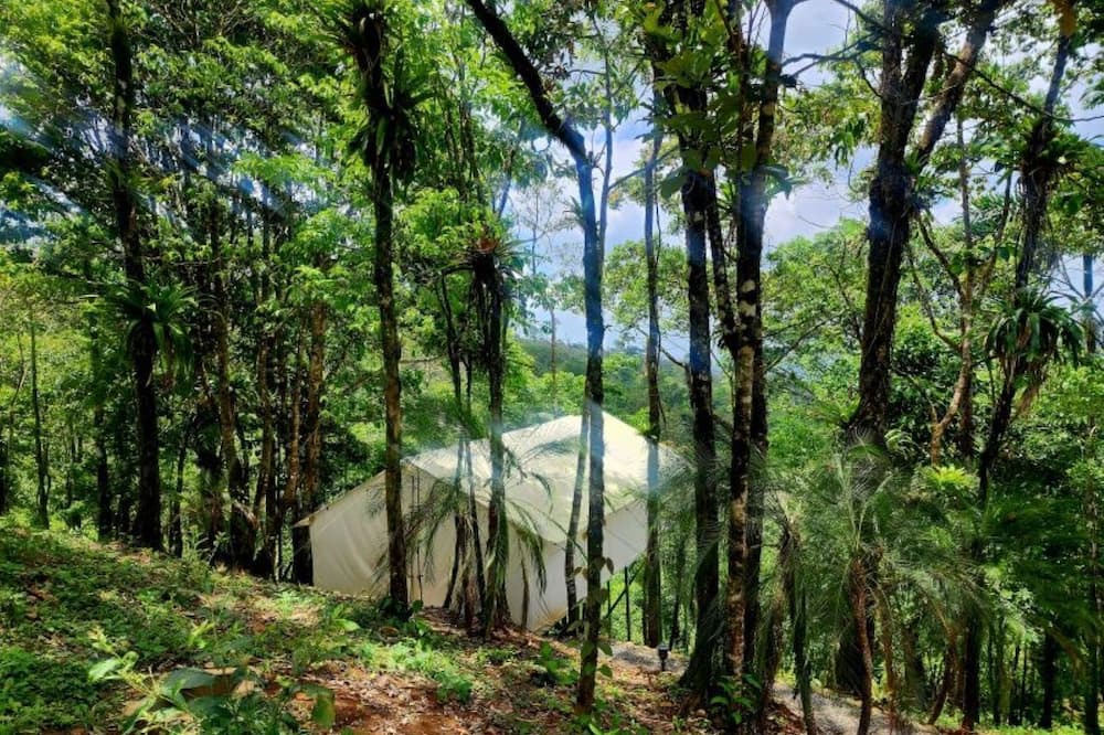 San Rafael de Guatuso House | Volcano Tenorio Glamping Ranch - 3 Fully Furnished Luxury Glamping Tents