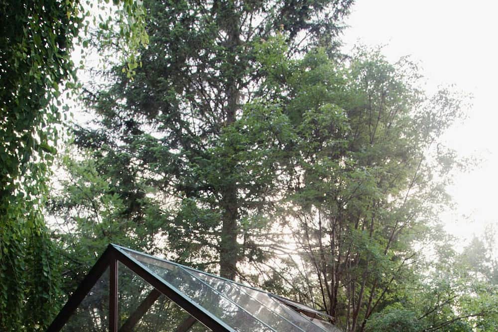 Courtenay House | For those seeking a unique getaway with modern comfort and natural beauty!