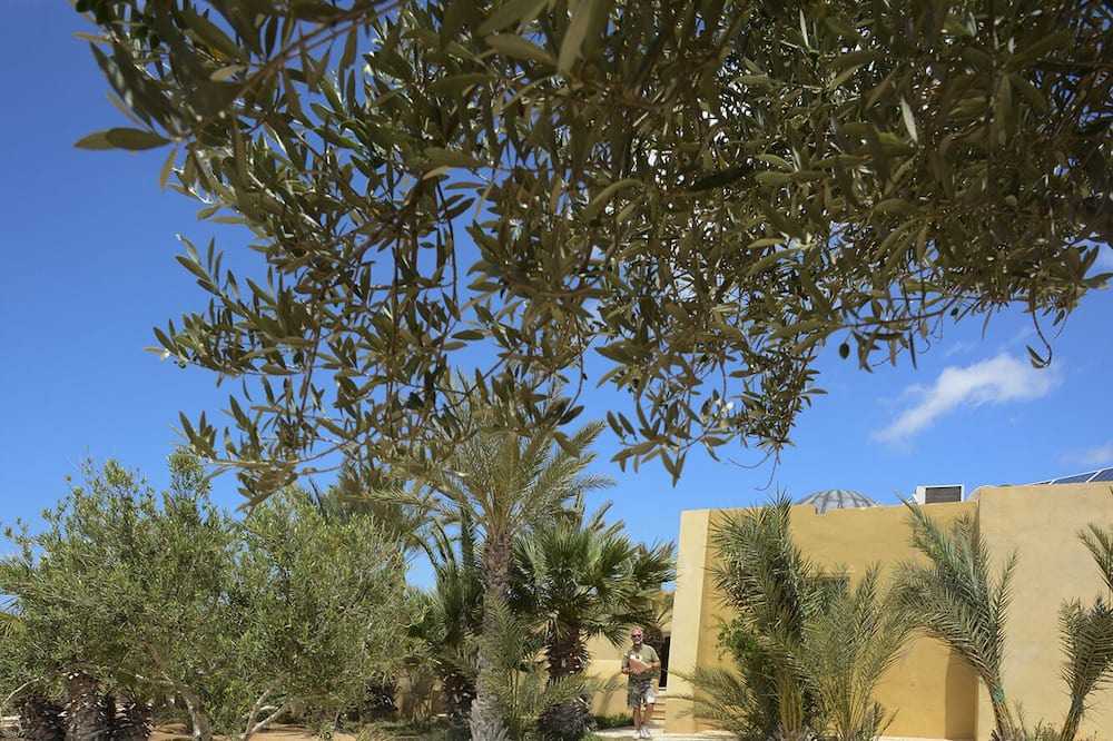Mellita House | Dar Almassa