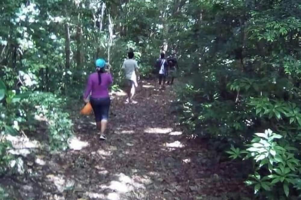 Newcastle RV Rental | Camping Barbados #2 Bring Your Own Tent