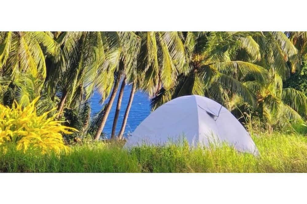 Newcastle RV Rental | Camping Barbados - Activity Stay