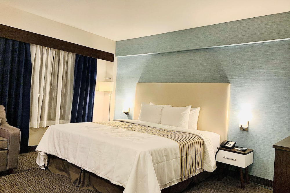 Northeast Mississauga Hotel | Chandni Hotel