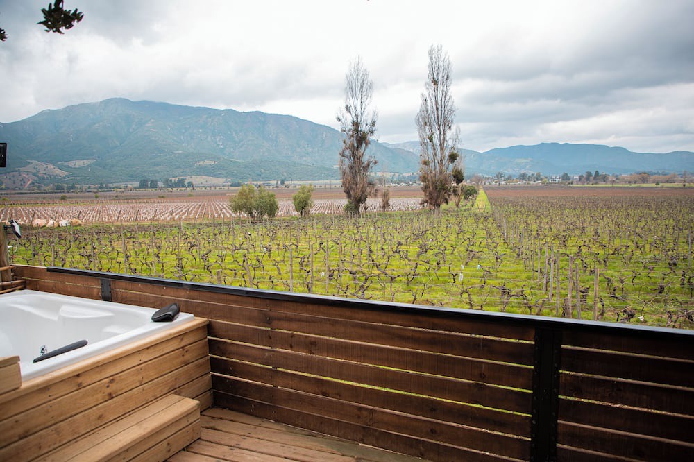 Santa Cruz Cabin | Apalta Lofts, enjoy the vineyards in front of the vineyards