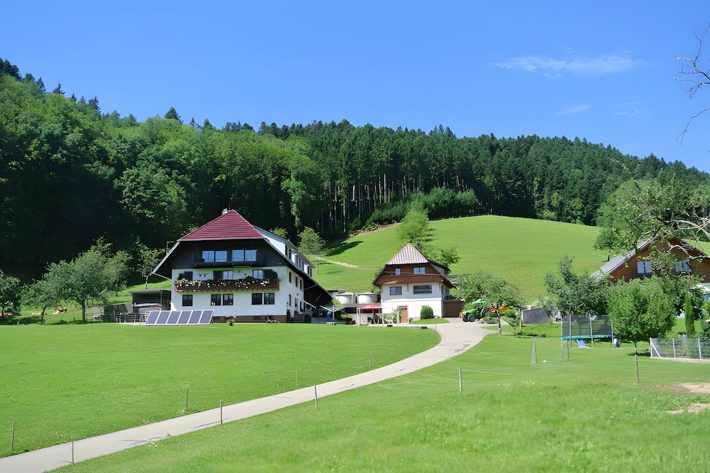 Hausach Apartment | Apartment 'Vordersbergerhof' with Mountain View, Private Terrace and Wi-Fi