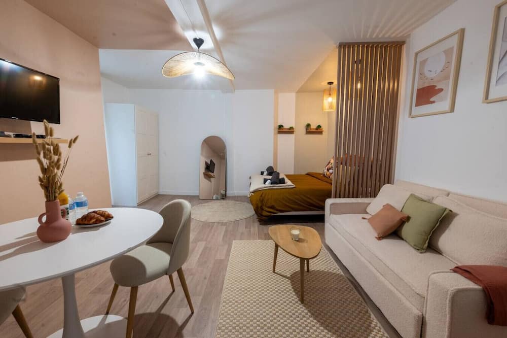 Romilly-sur-Seine Apartment | Magnificent renovated Studio downtown 3pers wifi