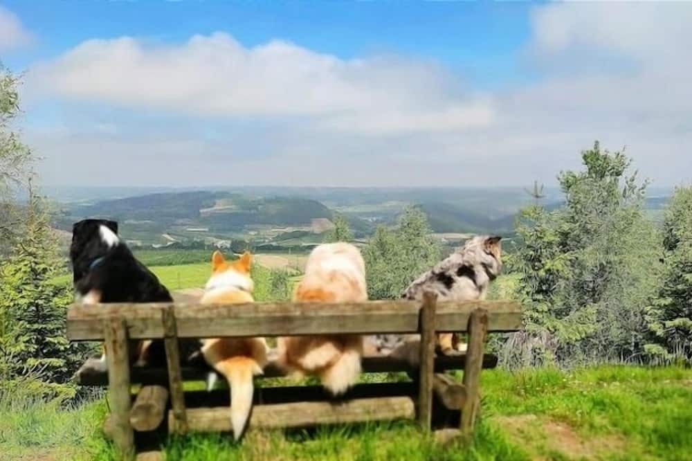 Berlar Apartment | Vacation apartment/apartment for 3 guests with 55m² in Bestwig (273174)