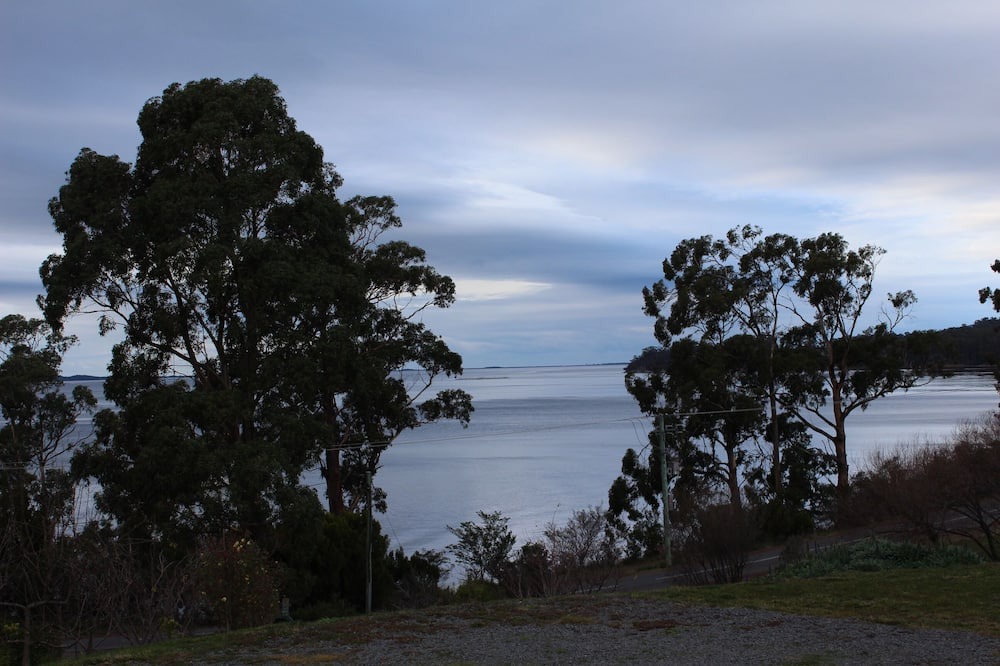 Woodbridge Apartment | Spot The Sea Eagle