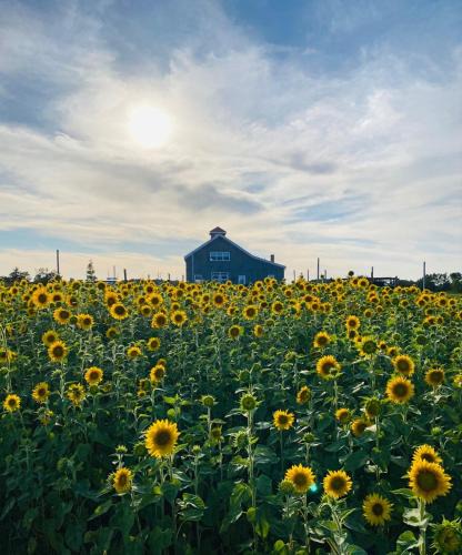 Egerton Hotel | Fossil Farms Oceanside Retreat