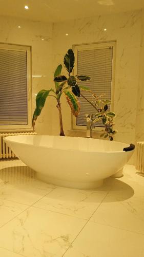 Eisden-Tuinwijk House | Castello de la miniera